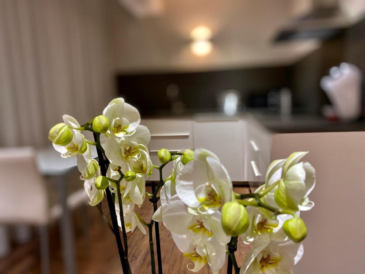 Harpazul Aparthotel Catoira Buitenkant foto